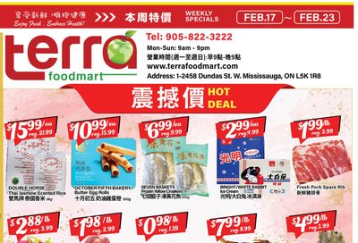 Terra Foodmart Flyer February 17 to 23