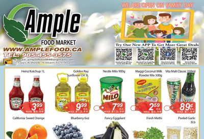 Ample Food Market (Brampton) Flyer February 17 to 23