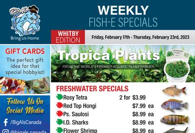 Big Al's (Whitby) Weekly Specials February 17 to 23