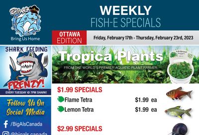 Big Al's (Ottawa East) Weekly Specials February 17 to 23