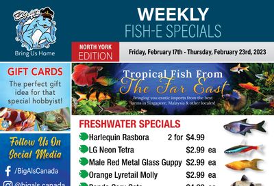 Big Al's (North York) Weekly Specials February 17 to 23