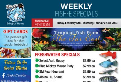 Big Al's (Newmarket) Weekly Specials February 17 to 23