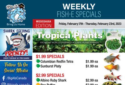 Big Al's (Mississauga) Weekly Specials February 17 to 23