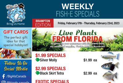 Big Al's (Brampton) Weekly Specials February 17 to 23