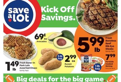 Save a Lot (ME) Weekly Ad Flyer Specials February 10 to February 16, 2023