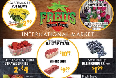 Fred's Farm Fresh Flyer October 30 to November 5