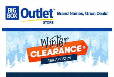 Big Box Outlet Store Flyer February 22 to 28