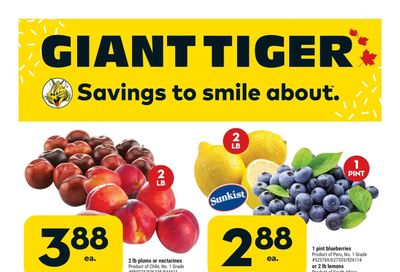 Giant Tiger (ON) Flyer February 22 to 28