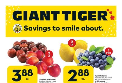 Giant Tiger (Atlantic) Flyer February 22 to 28