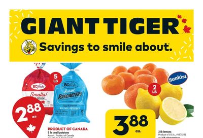 Giant Tiger (West) Flyer February 22 to 28