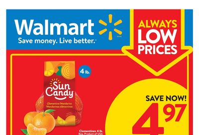 Walmart (West) Flyer February 23 to March 1