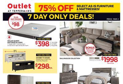 Outlet at Tepperman's Flyer February 24 to March 2