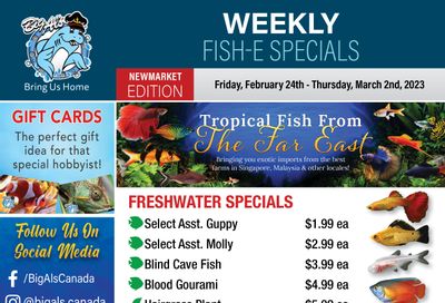 Big Al's (Newmarket) Weekly Specials February 24 to March 2