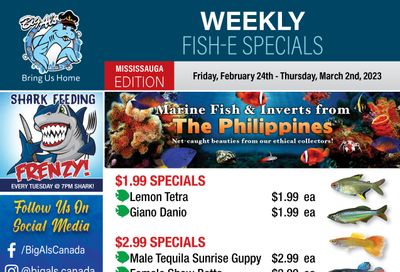 Big Al's (Mississauga) Weekly Specials February 24 to March 2