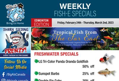 Big Al's (Edmonton) Weekly Specials February 24 to March 2