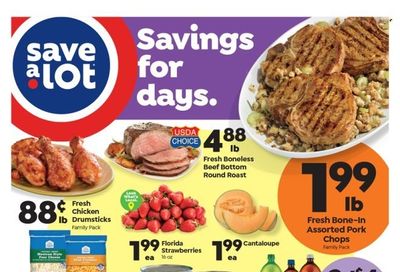 Save a Lot (FL) Weekly Ad Flyer Specials February 22 to February 28, 2023