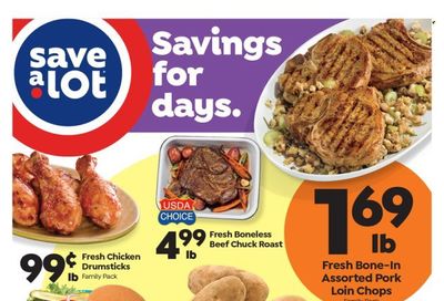 Save a Lot (NY) Weekly Ad Flyer Specials February 19 to February 25, 2023