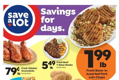 Save a Lot (MI) Weekly Ad Flyer Specials February 19 to February 25, 2023