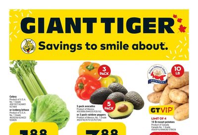 Giant Tiger (ON) Flyer March 1 to 7