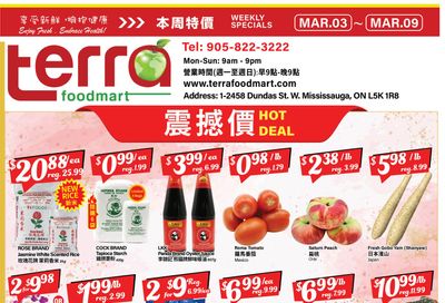 Terra Foodmart Flyer March 3 to 9