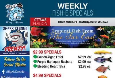 Big Al's (Ottawa East) Weekly Specials March 3 to 9