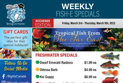 Big Al's (Kitchener) Weekly Specials March 3 to 9