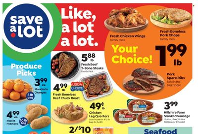 Save a Lot (FL, IL, WI) Weekly Ad Flyer Specials March 1 to March 7, 2023