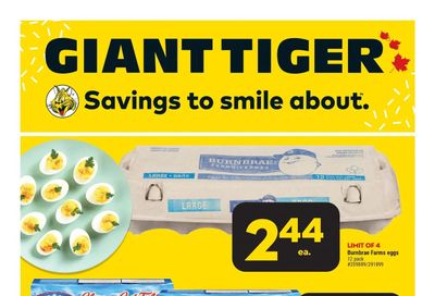 Giant Tiger (ON) Flyer March 8 to 14