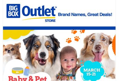 Big Box Outlet Store Flyer March 15 to 21