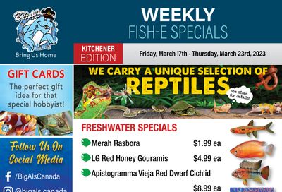 Big Al's (Kitchener) Weekly Specials March 17 to 23