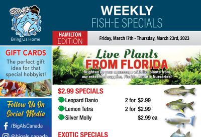 Big Al's (Hamilton) Weekly Specials March 17 to 23