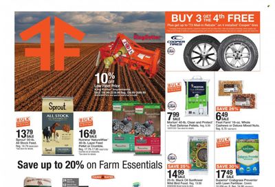 Fleet Farm (IA, MN, ND, WI) Weekly Ad Flyer Specials March 17 to March 25, 2023