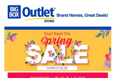 Big Box Outlet Store Flyer March 22 to 28