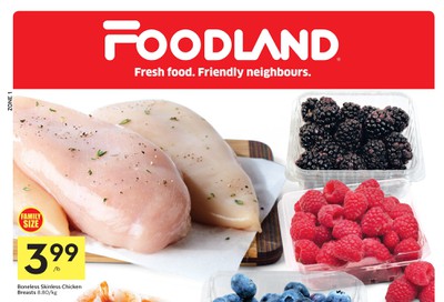 Foodland (ON) Flyer October 31 to November 6