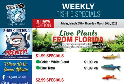 Big Al's (Ottawa East) Weekly Specials March 24 to 30
