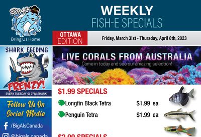 Big Al's (Ottawa East) Weekly Specials March 31 to April 6