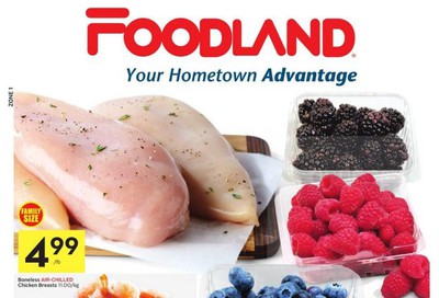 Foodland (Atlantic) Flyer October 31 to November 6