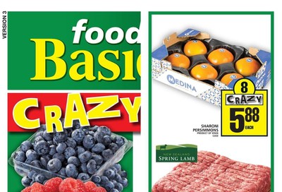 Food Basics (Hamilton Region) Flyer October 31 to November 6