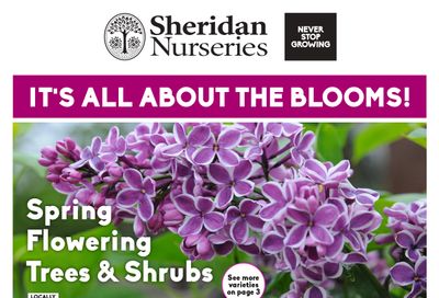 Sheridan Nurseries Flyer April 20 to May 3
