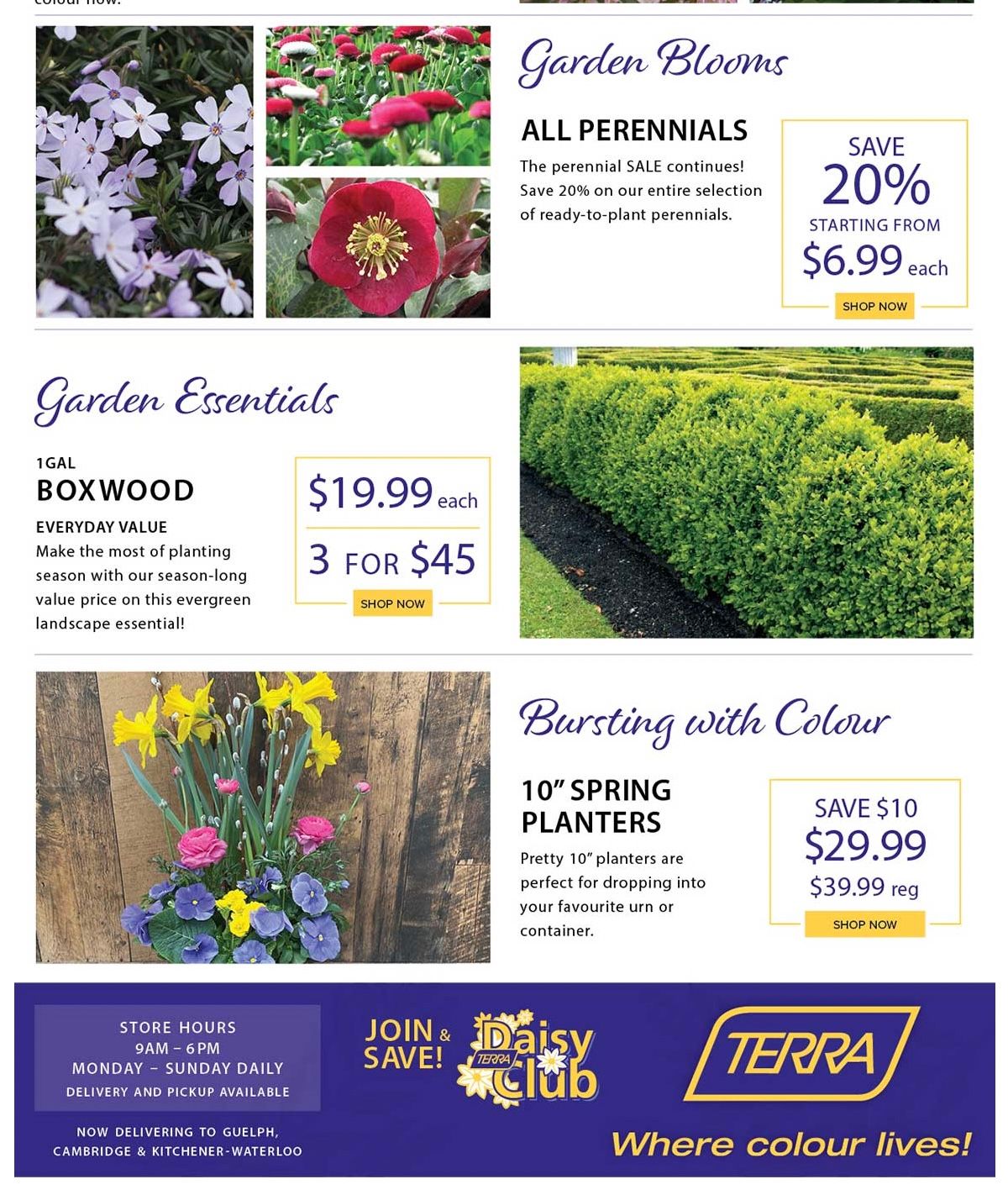 Terra Greenhouses Flyer April 21 to 23