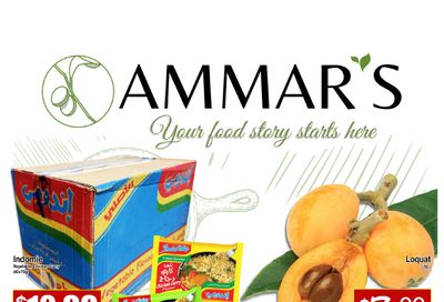 Ammar's Halal Meats Flyer April 27 to May 3