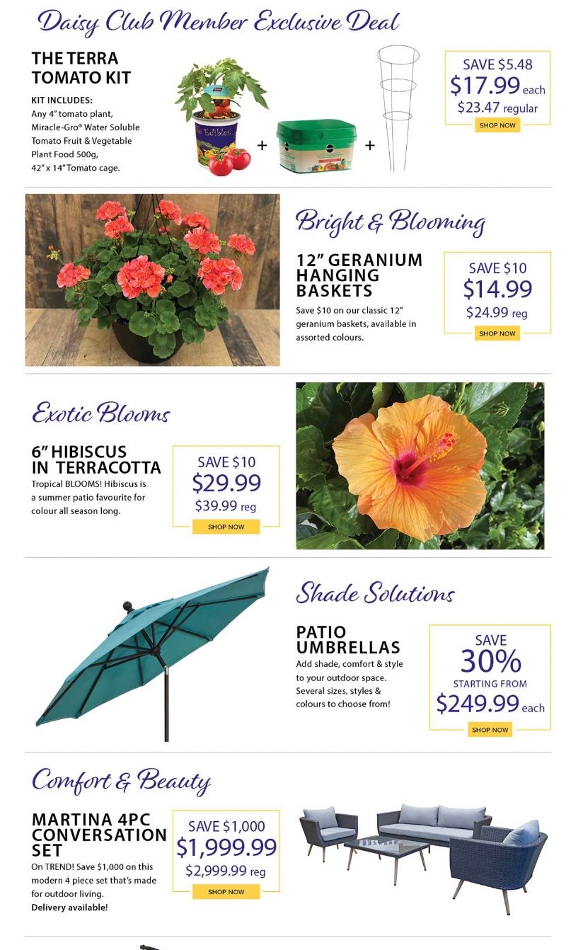 Terra Greenhouses Flyer April 28 to May 4