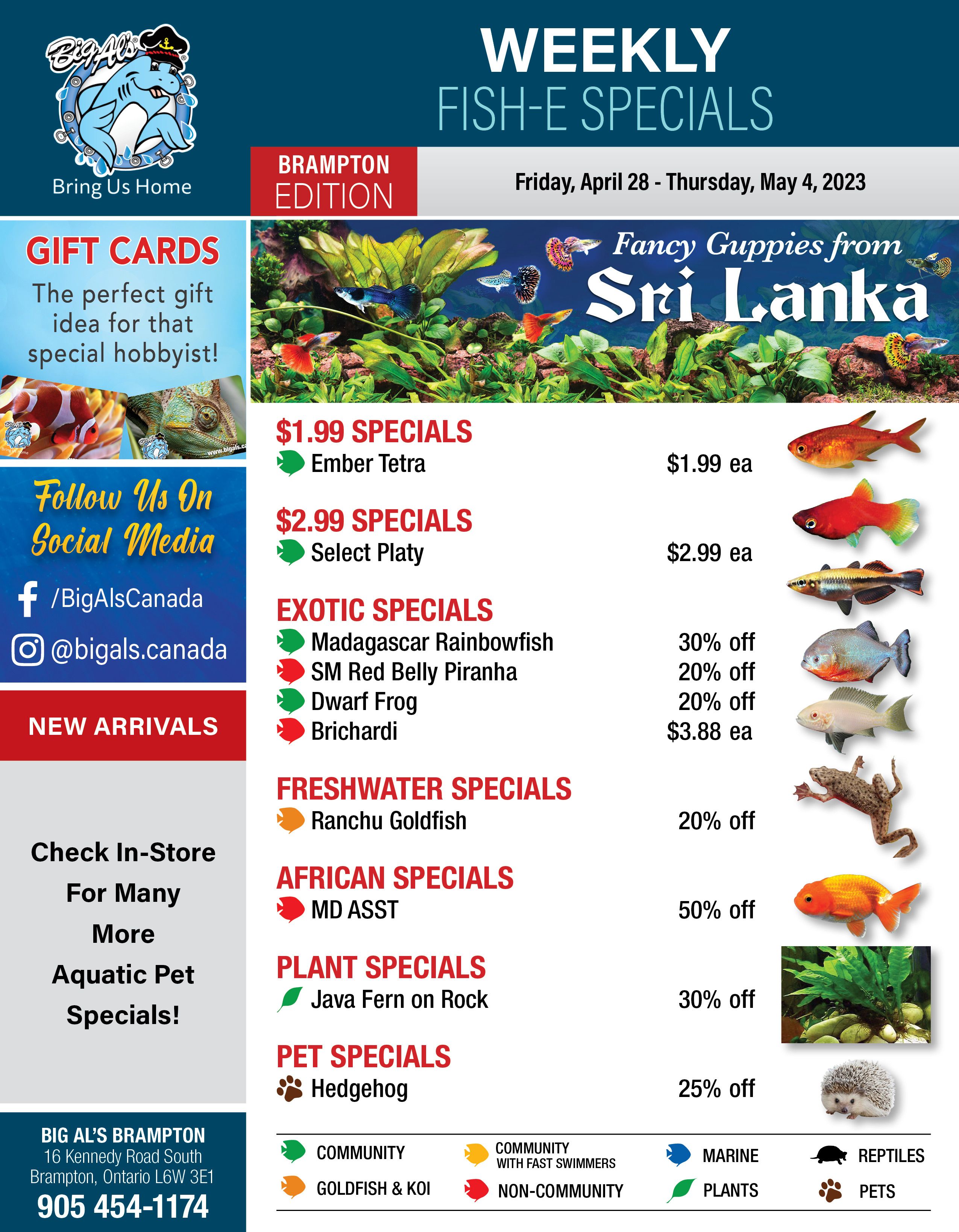 Big Al's (Brampton) Weekly Specials April 28 to May 4