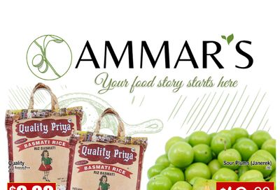 Ammar's Halal Meats Flyer May 4 to 10
