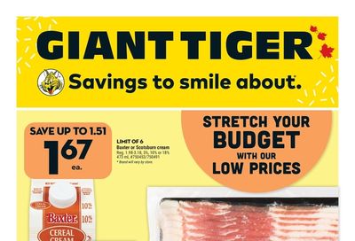 Giant Tiger (Atlantic) Flyer May 10 to 16