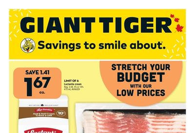 Giant Tiger (ON) Flyer May 10 to 16