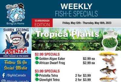 Big Al's (Scarborough) Weekly Specials May 12 to 18