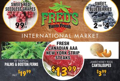 Fred's Farm Fresh Flyer May 17 to 23