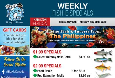 Big Al's (Hamilton) Weekly Specials May 19 to 25