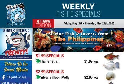 Big Al's (Ottawa East) Weekly Specials May 19 to 25